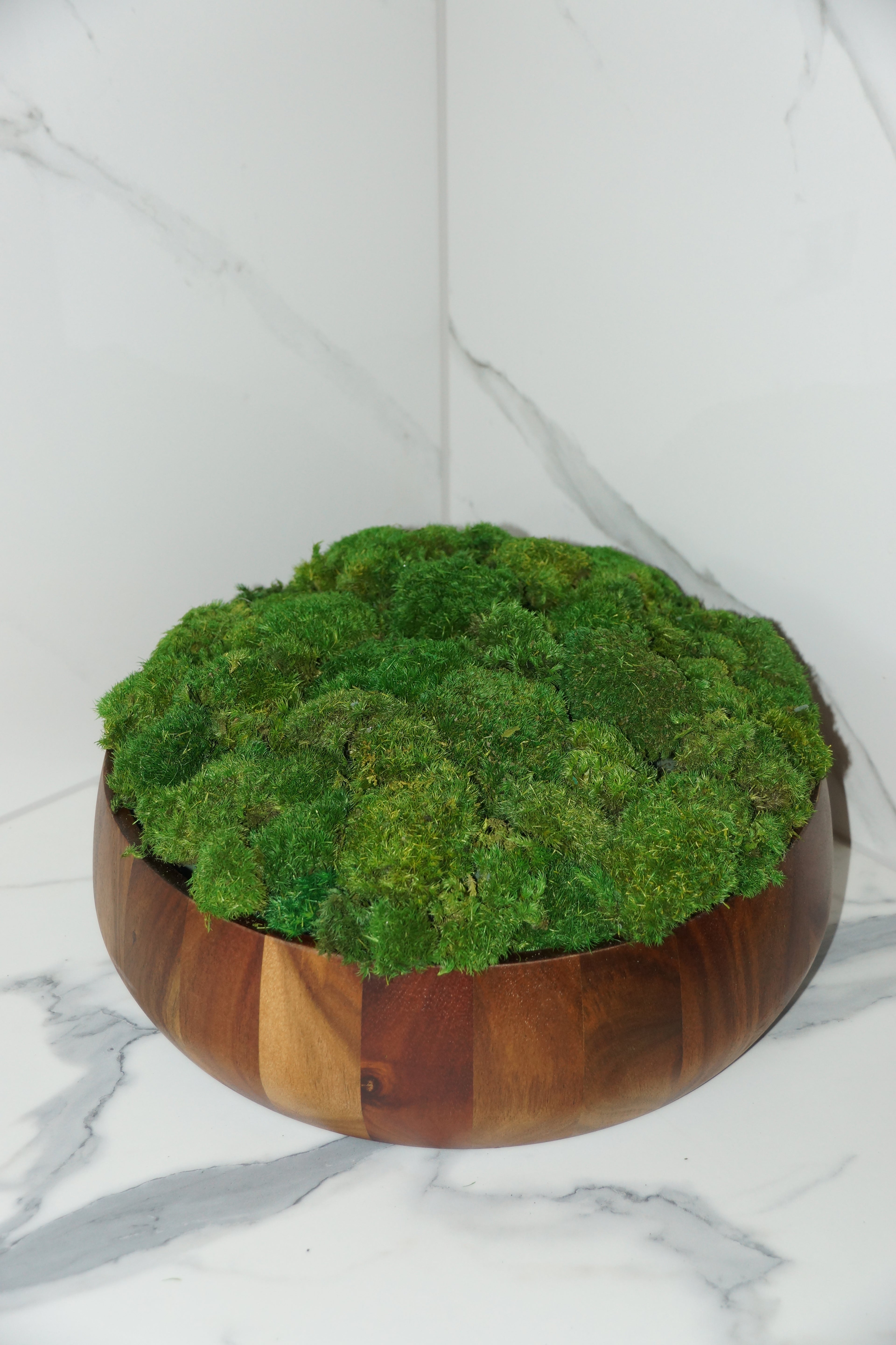 Jumbo preserved moss centrepiece in brown wooden bowl – Standard
