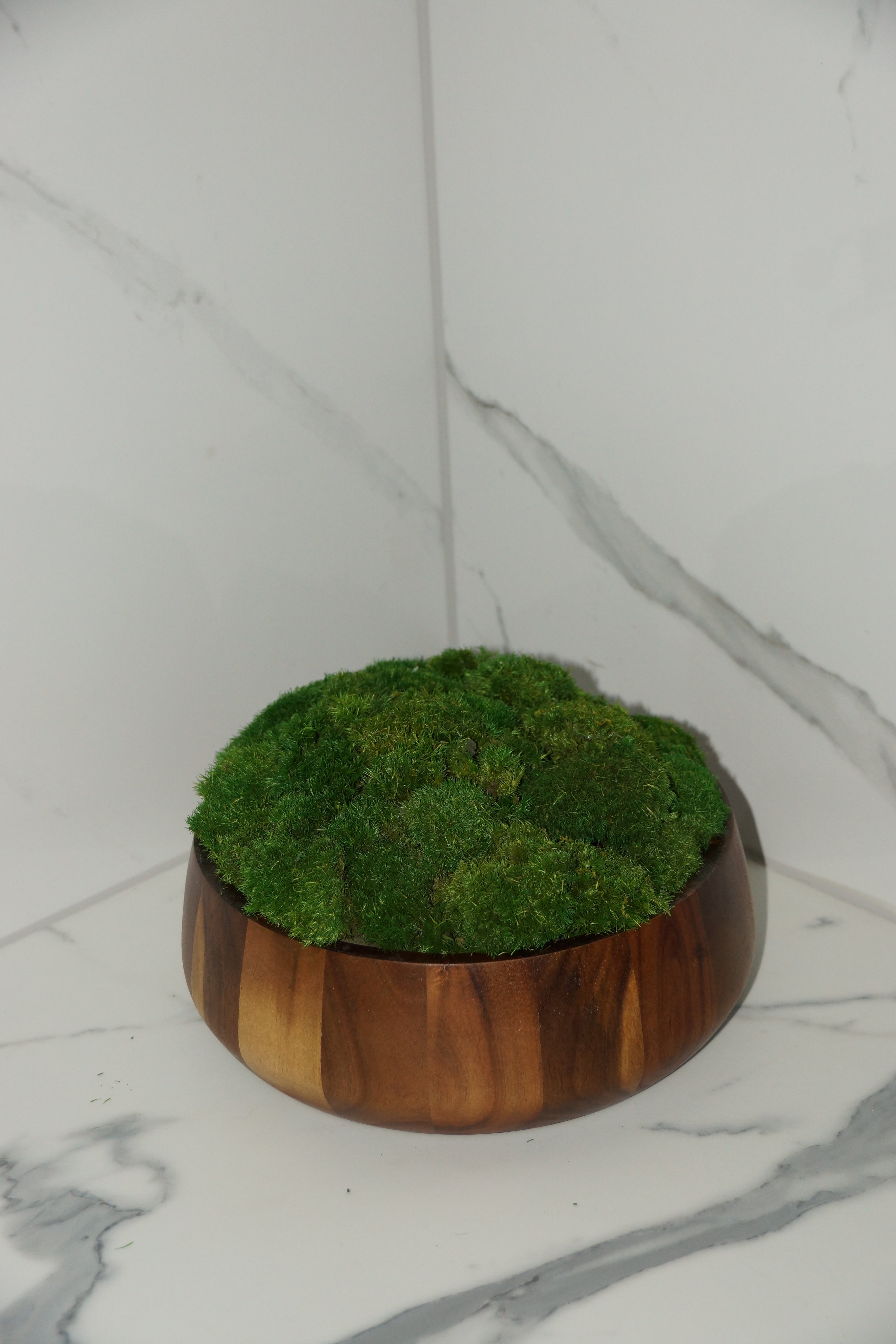 Medium preserved moss centrepiece in brown wooden bowl – Standard