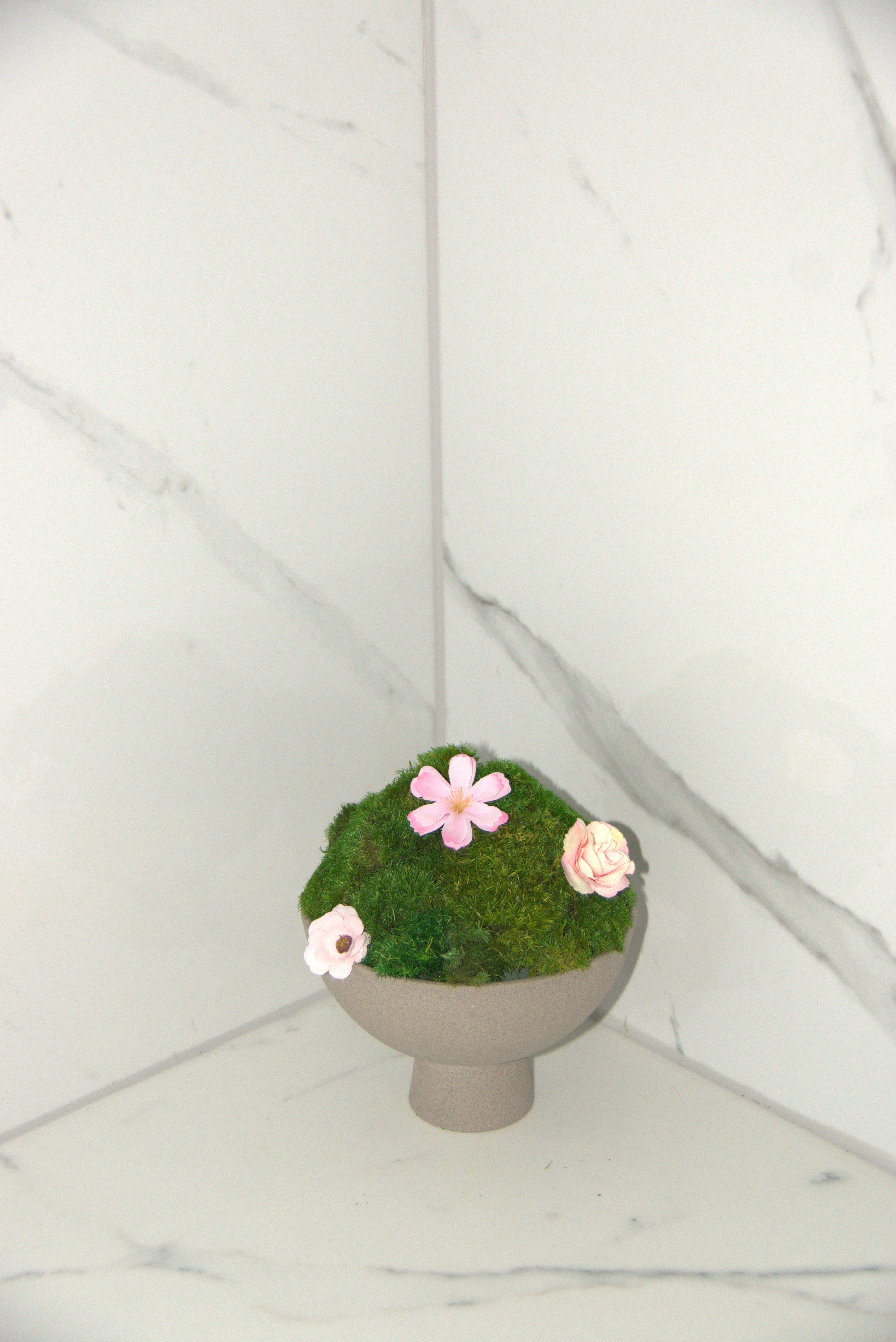 Small ceramic pedestal preserved moss centrepiece — floral variant