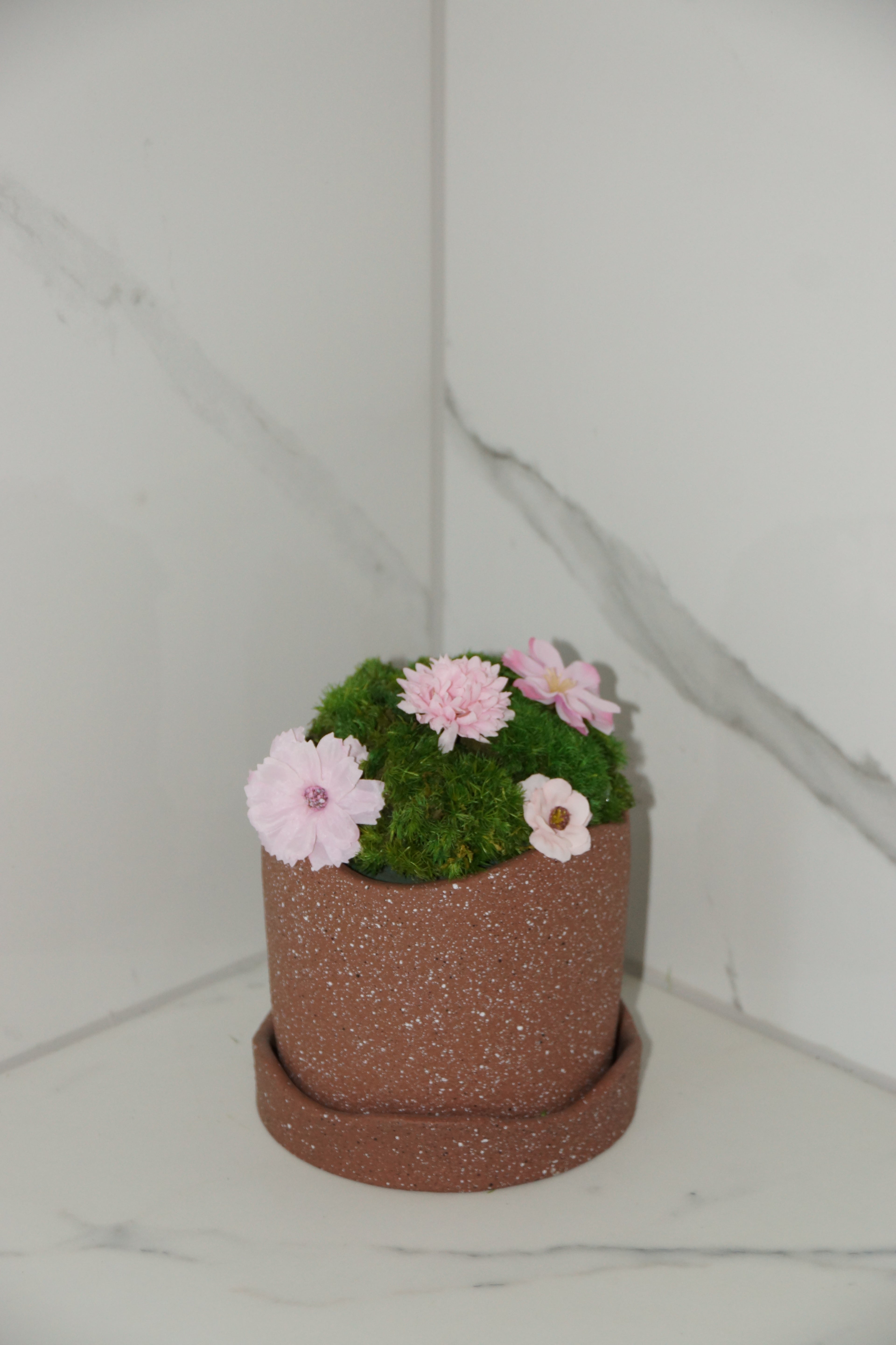 Small preserved moss terracotta ceramic pot — floral variant