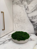 Large preserved moss centrepiece in ceramic bowl – Standard