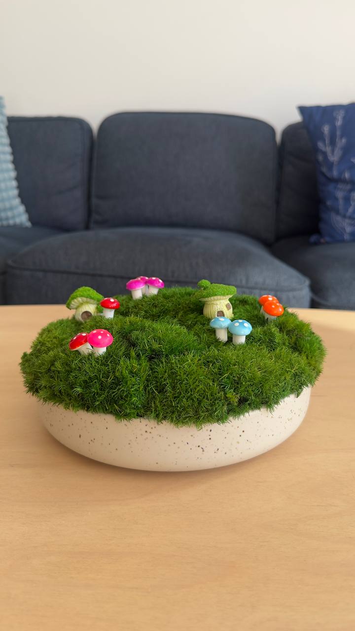 Large Preserved Moss Centrepiece – Ceramic Bowl