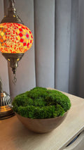 Small preserved moss centrepiece in brown wooden bowl – Standard