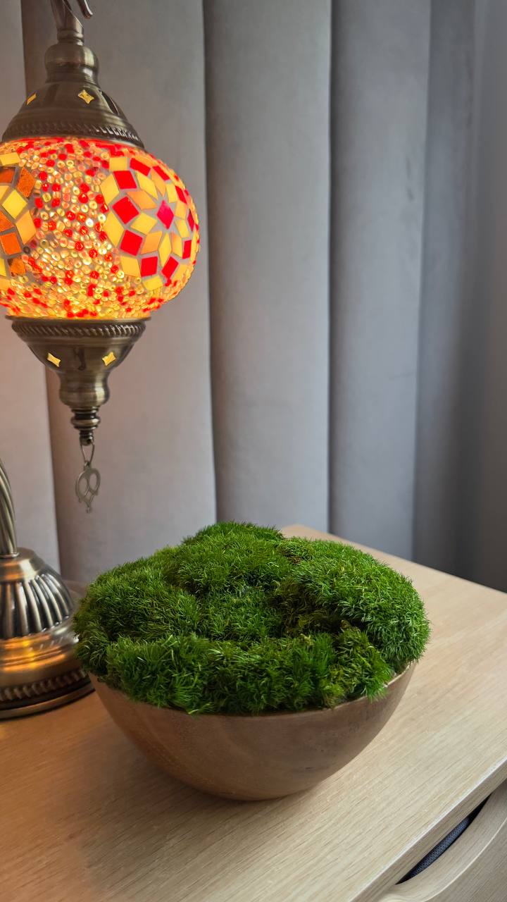 Small preserved moss centrepiece in brown wooden bowl – Standard