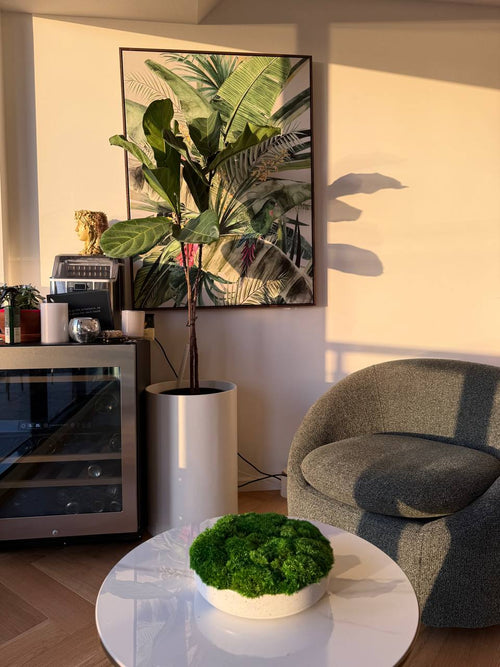 Large preserved moss centrepiece ceramic bowl – lifestyle shot
